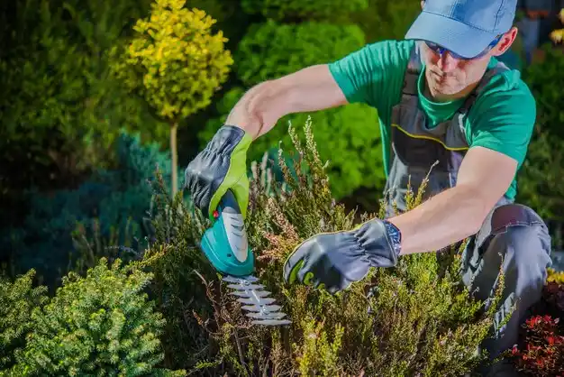 landscaping services West Salem